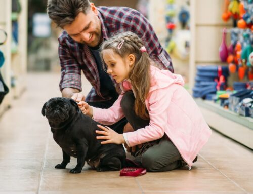 Daly Companion Pet Care LLC