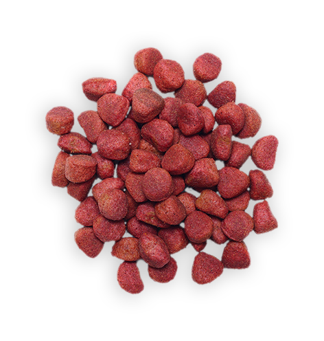 Dog food Pet Care and Boarding Service